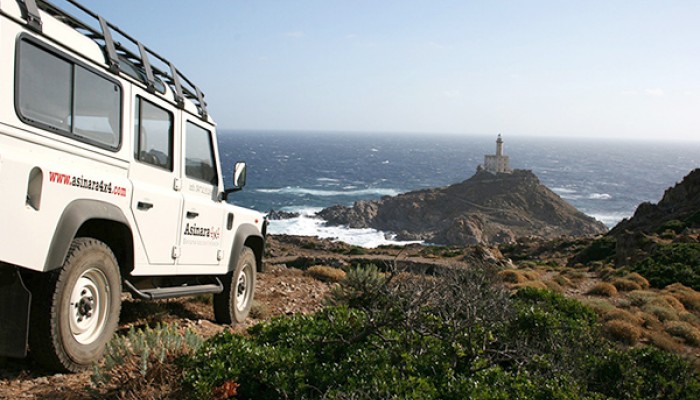 Escursioni: Asinara in Jeep 4x4