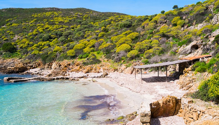 Escursioni: Cala Sabina Asinara