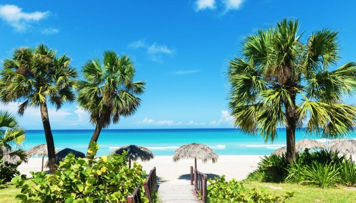 Caraibi