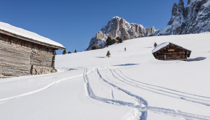 Majestic Dolomiti Hotel Futura Style